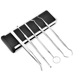 Professional 5pcs Stainless Steel Dental Tools Kit